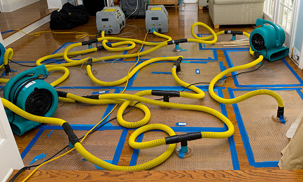 Professional Basement Flood Cleanup technician working in New Matamoras, OH